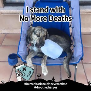 Meet your Posher, Susannah